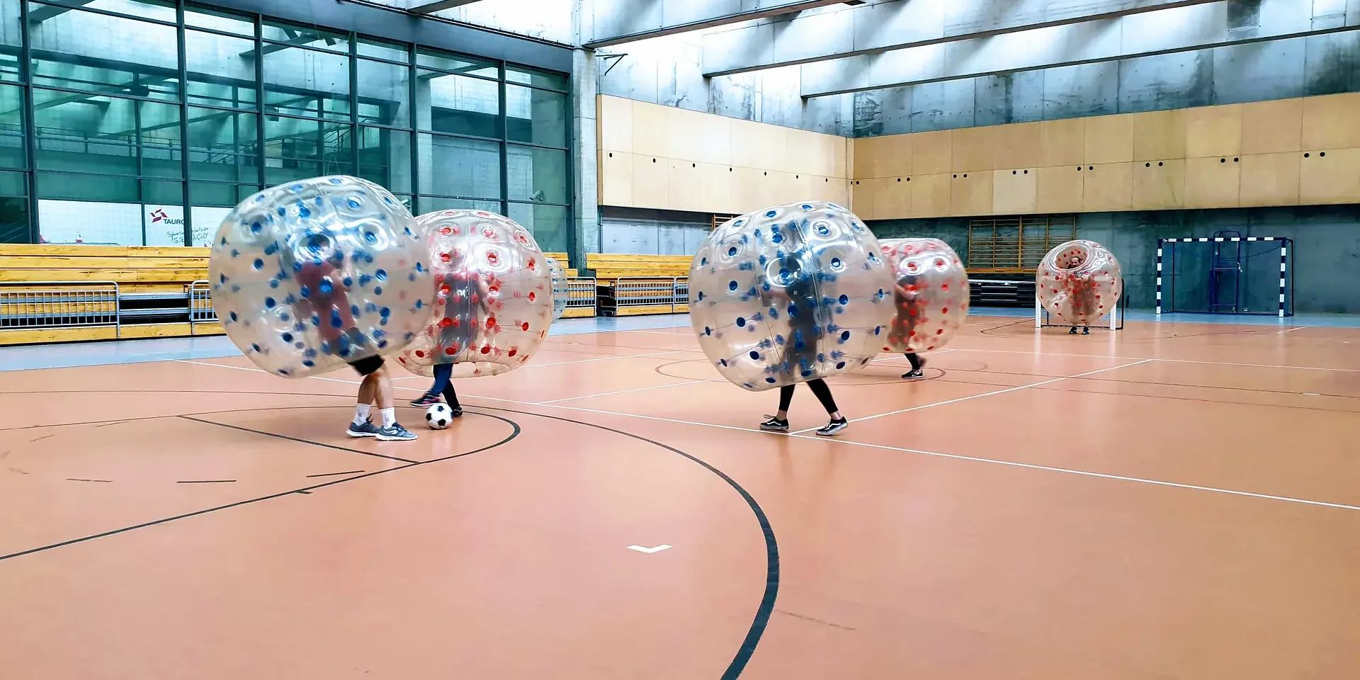 Bumper ball match in a sports hall in Krakow