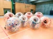 Bumper Ball game in inflatable balls at a sports hall in Kraków