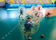 Bumper Ball game in inflatable balls at a sports hall in Kraków